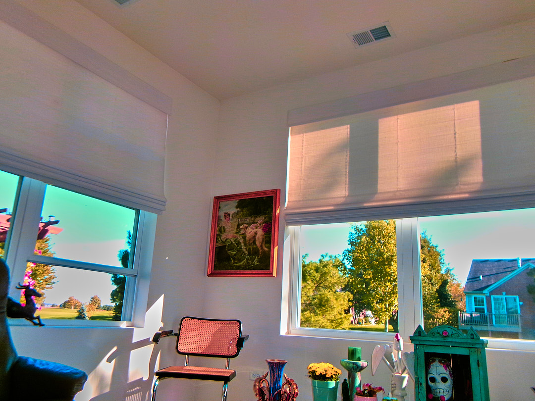 A sunlit living room with the blinds half down and trees outside
